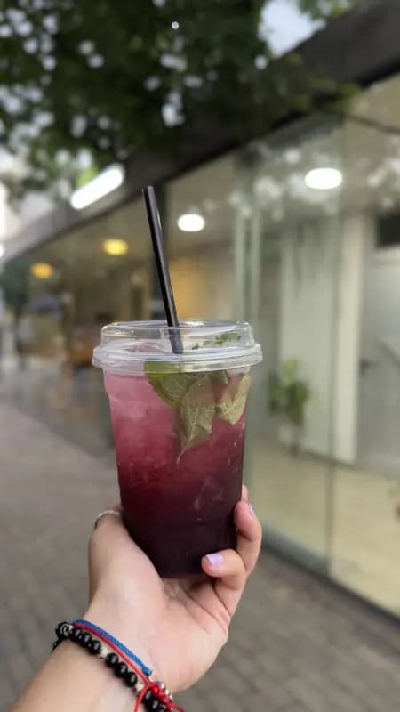 Refresco de Arándanos y Tónica.