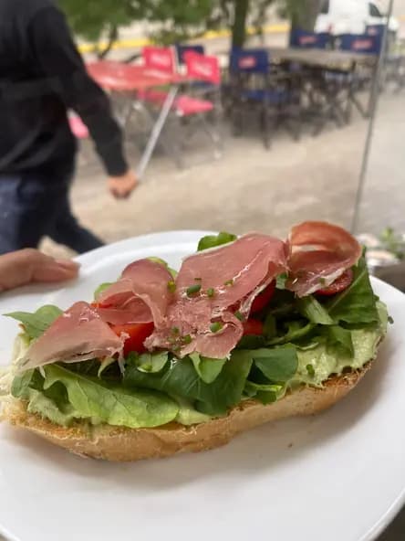 Bruschetta JC y palta